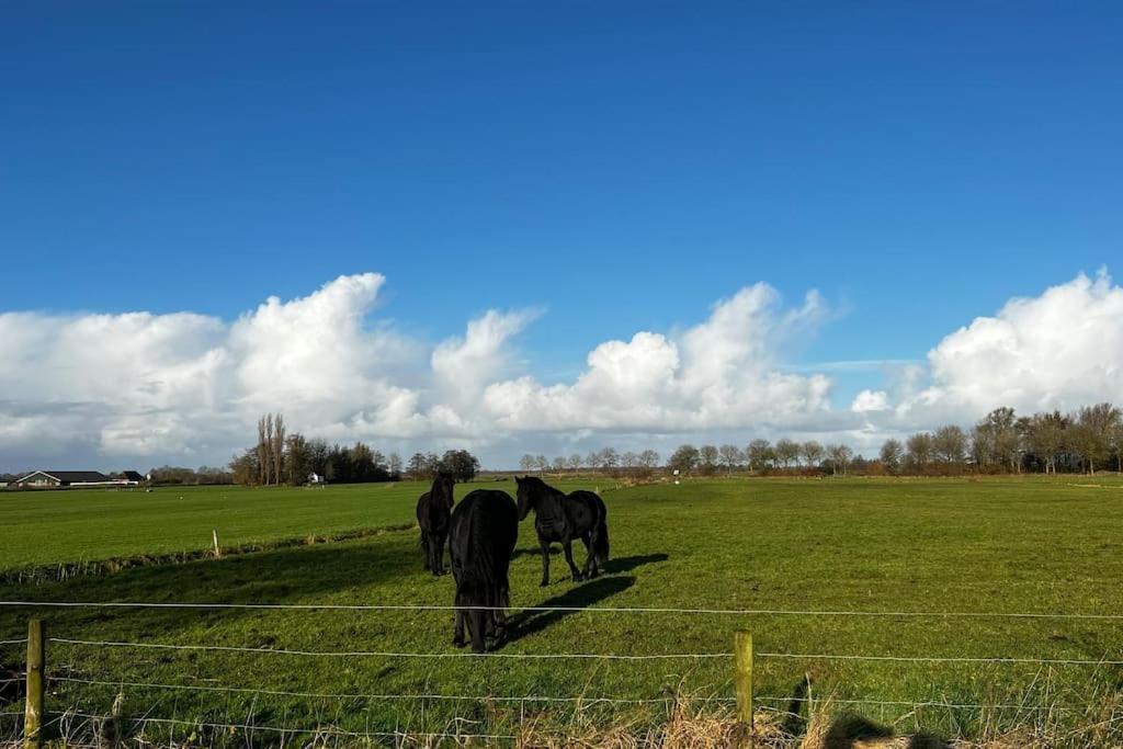 Puur Eastermar - Monumentaal, Authentiek En Luxe Koetshuis Aan Open Vaarwater Met Jacuzzi En Sauna Oostermeer Kültér fotó